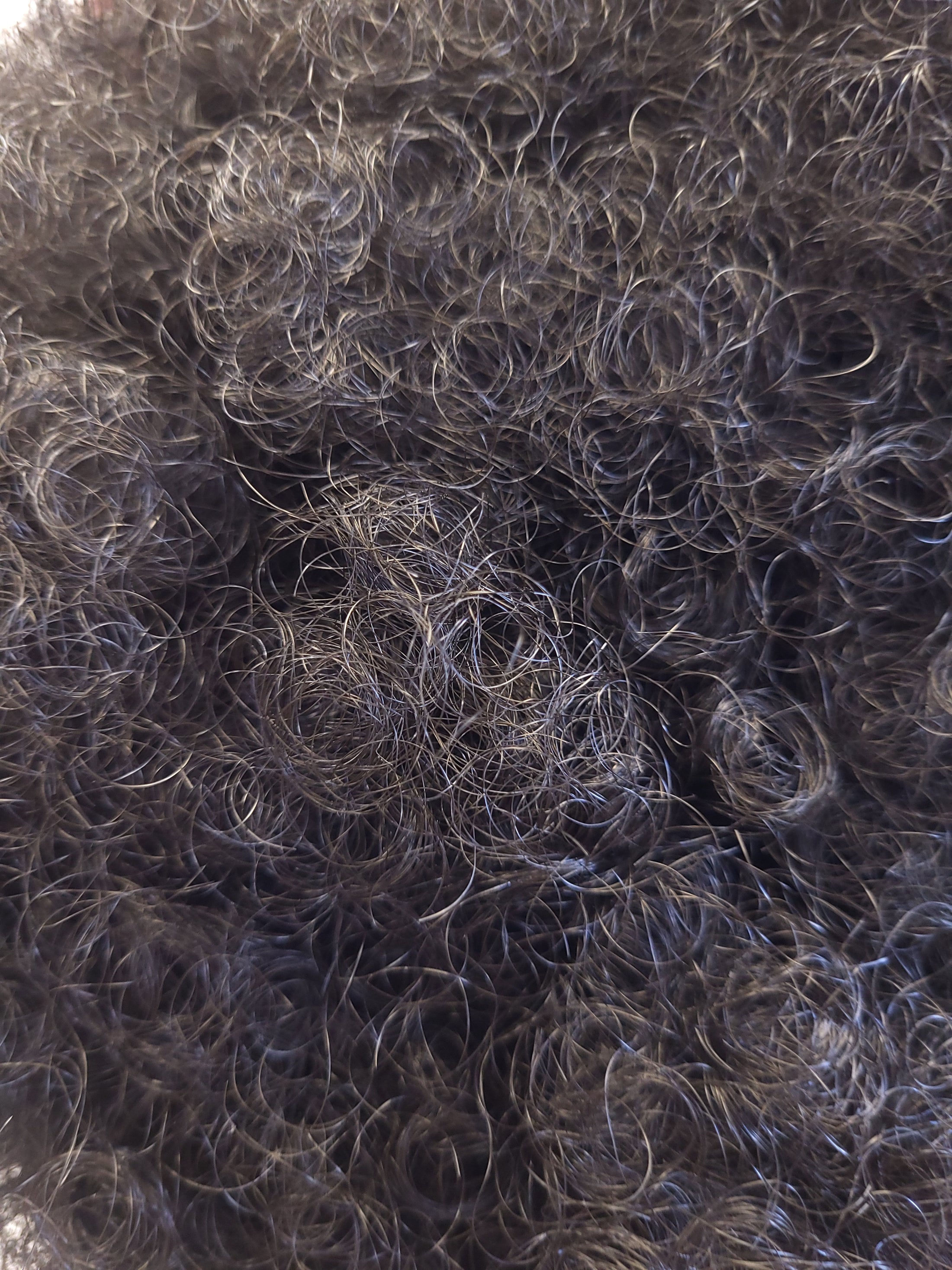 (1B)