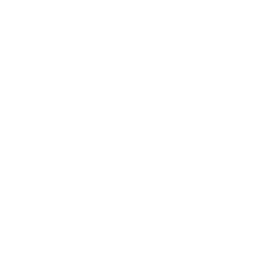 Wig Wonders